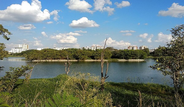 Sarjapur Bidaraguppe Lake